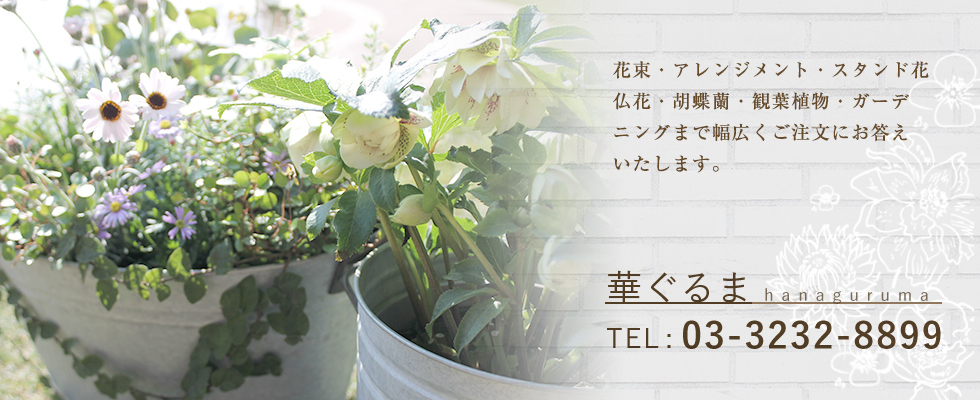 ギフト 新宿区早稲田のフラワーショップ 花屋 華ぐるま 茗荷谷店open ギフト 新宿区早稲田のフラワーショップ 花屋 華ぐるま 茗荷谷店open